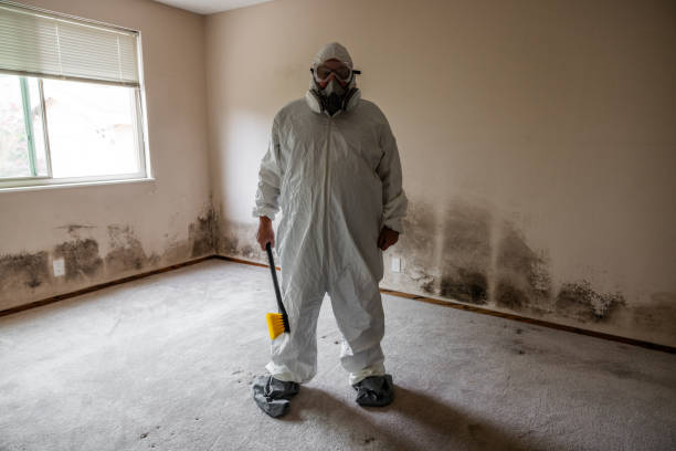 Trusted Canutillo, TX Mold Remediation Experts